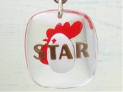 STAR �u���{���L�[�z���_�[