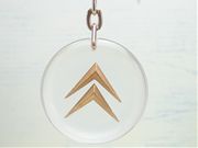 CITROEN(��)
