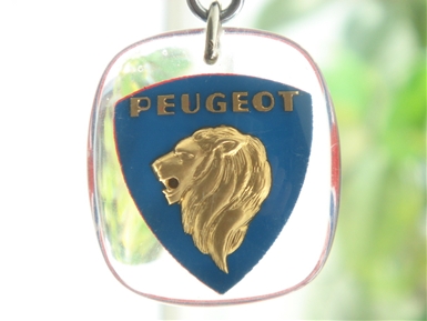 PEUGEOT&ESSO�� �u���{���L�[�z���_�[
