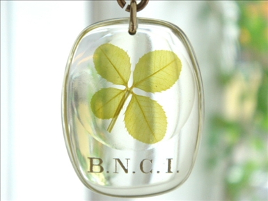 BNCI