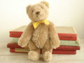 アンティーク シュタイフ Steiff テディベア Teddy Bear Sサイズ