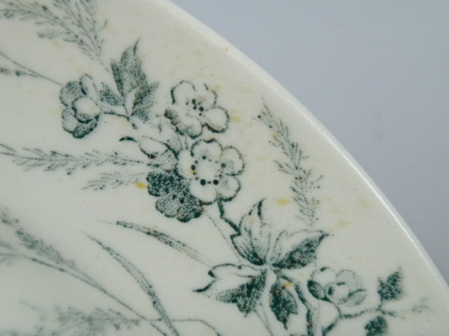 アンティーク皿 鳥 モントロー LINOTTE Creil et Montereau製