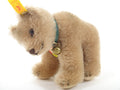 シュタイフ 復刻版 小熊 Steiff Jungbaer Bear cub 1950 15cmサイズ