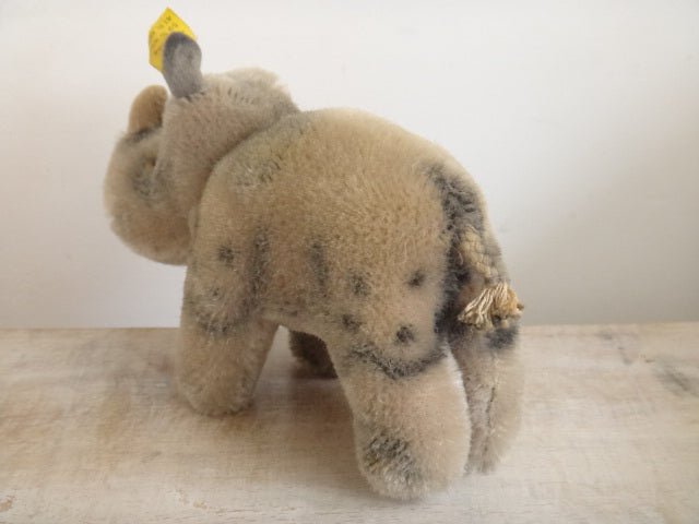 アンティーク シュタイフ サイ Steiff Nosy 10cmサイズ