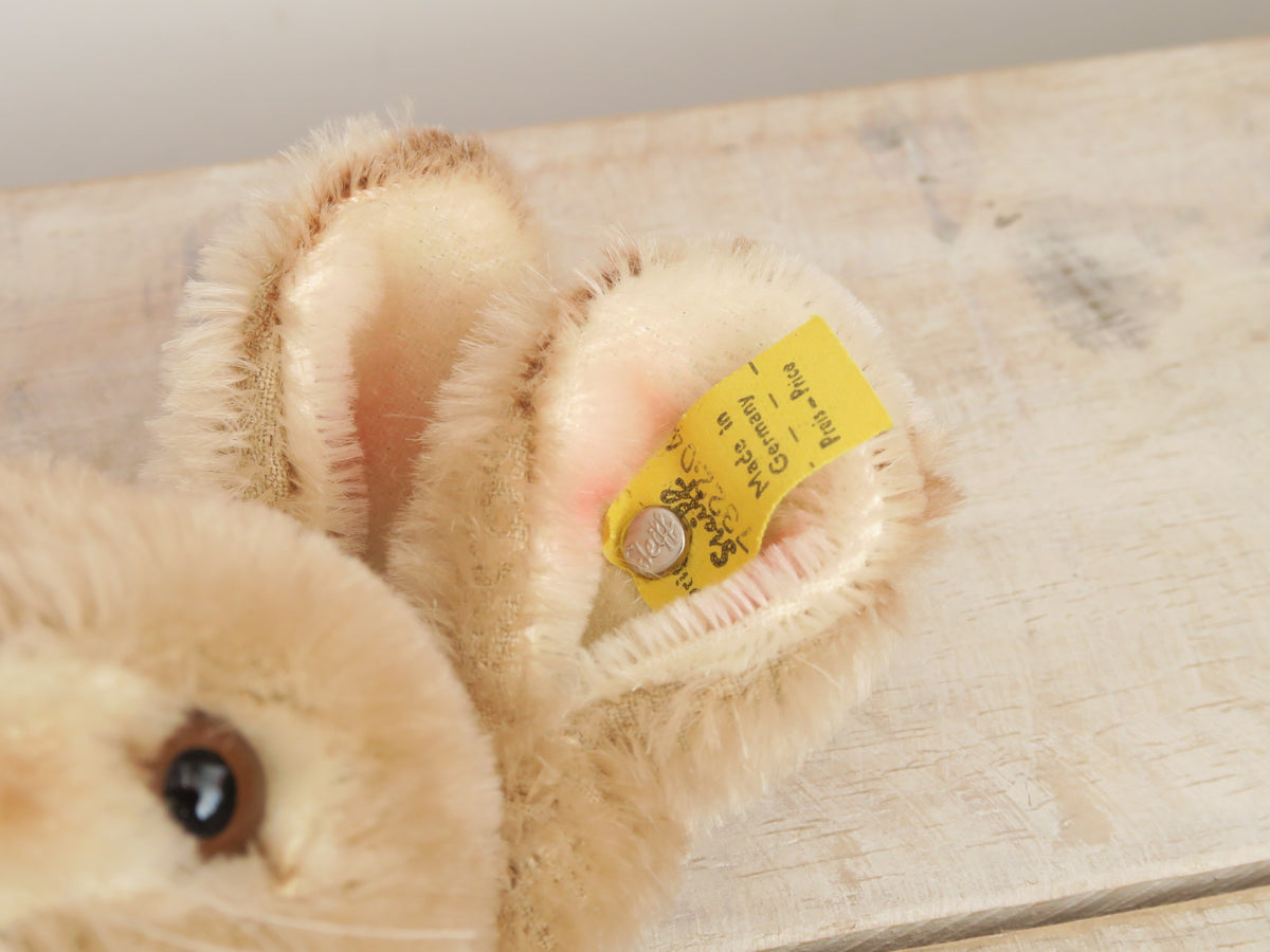 アンティーク シュタイフ ウサギ ベビーラビット Steiff Sassy 22cmサイズ