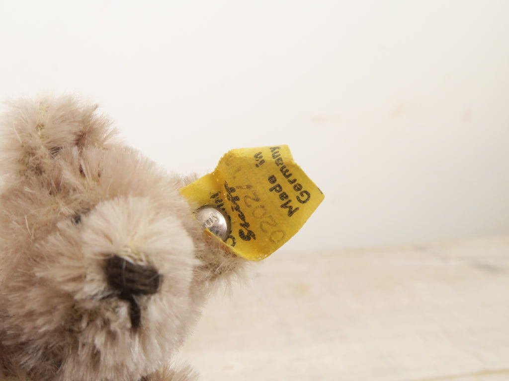 アンティーク シュタイフ オリジナル テディベア Steiff Original Teddy 11cm