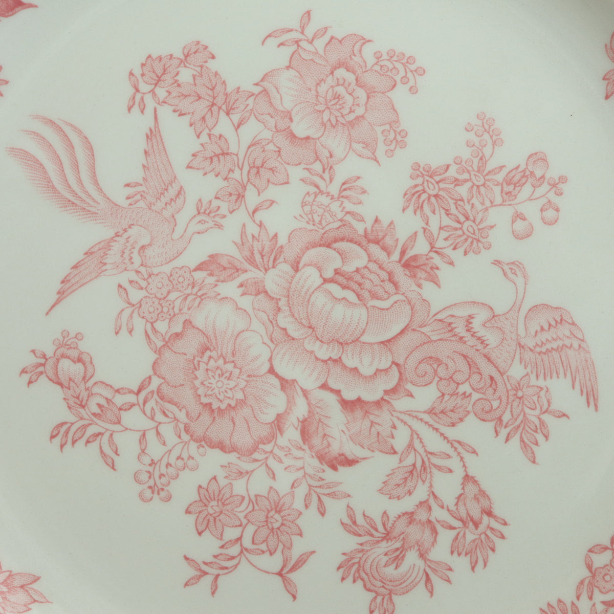 バーレイ Burleigh ピンクアジアティックフェザンツ プレートM 22cm