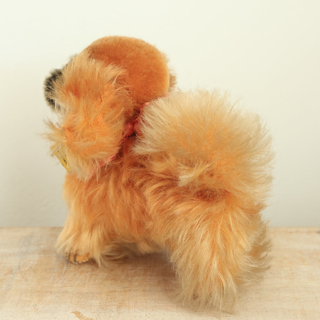 アンティーク シュタイフ ペキニーズ ぬいぐるみ Steiff Peky 10cm
