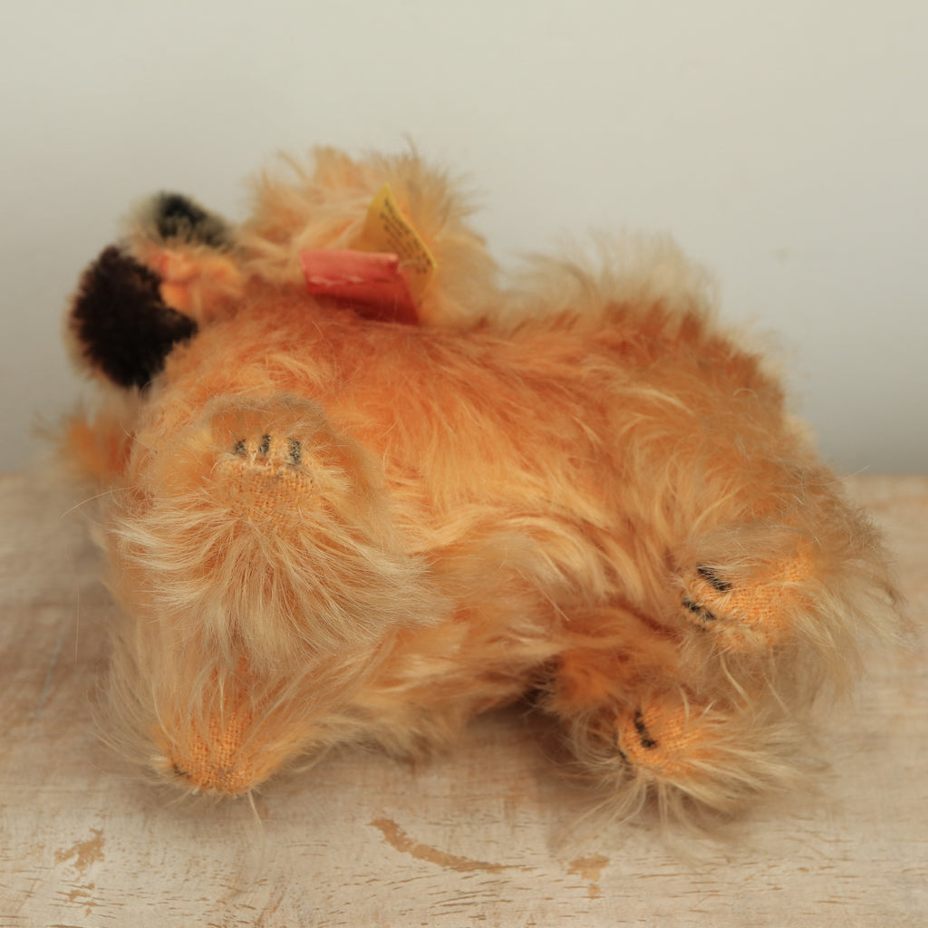 アンティーク シュタイフ ペキニーズ ぬいぐるみ Steiff Peky 10cm