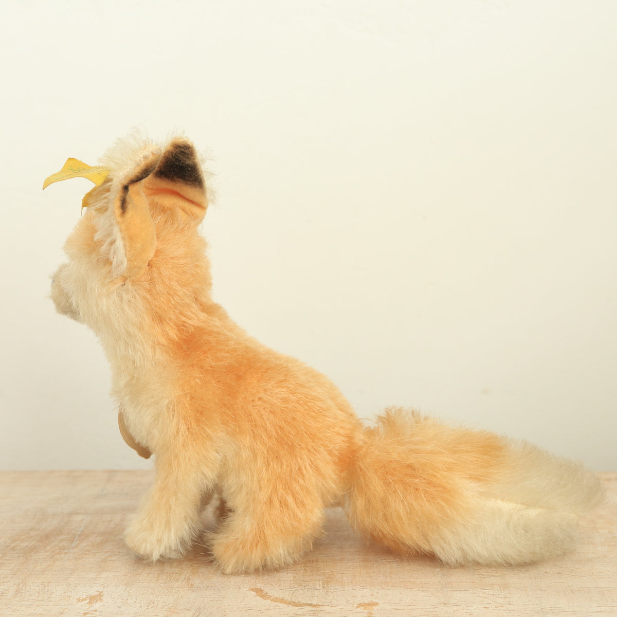 アンティーク シュタイフ キツネ Steiff Xorry 12cm