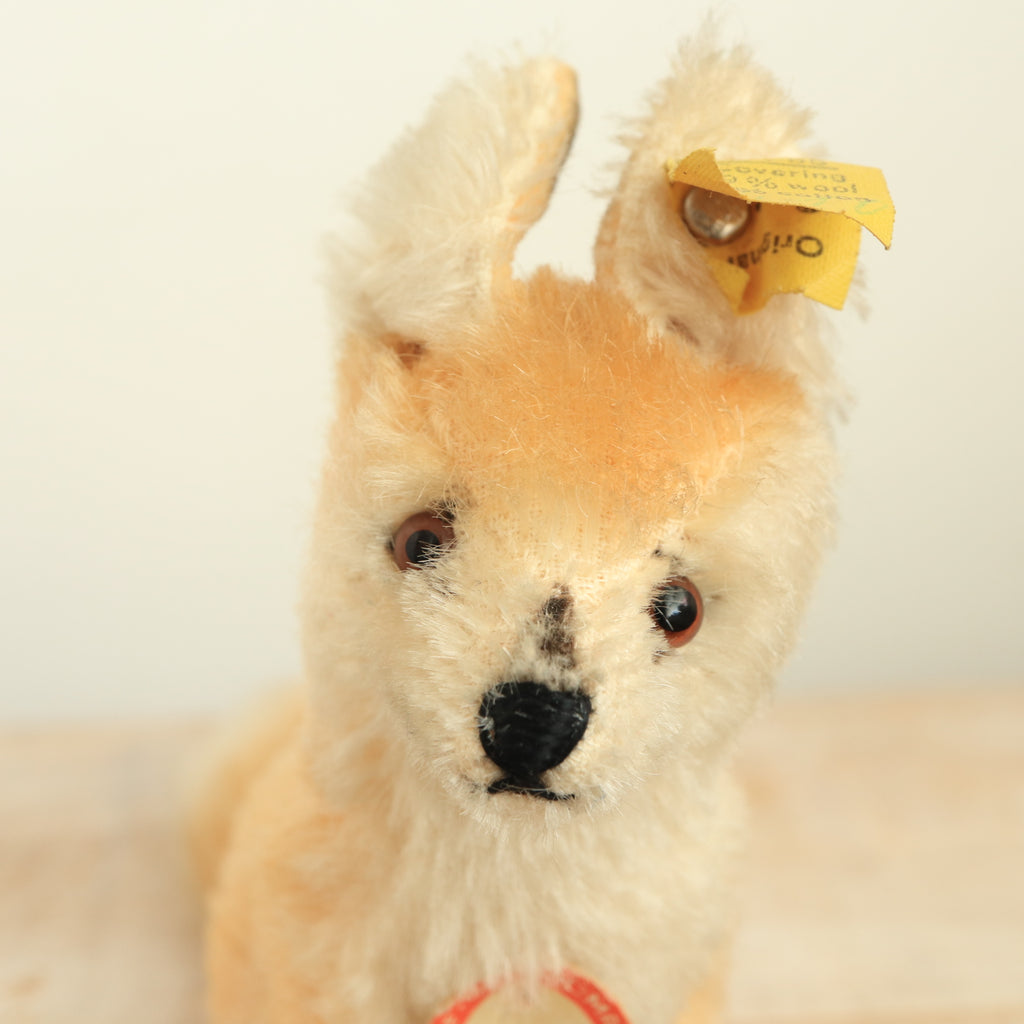 アンティーク シュタイフ キツネ Steiff Xorry 12cm