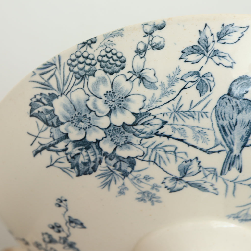 アンティーク コンポティエ 小鳥 MIGNON フランス ロンウィー製 LONGWY