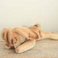 アンティーク シュタイフ お眠りウサギ Steiff Floppy Hansi 17cm
