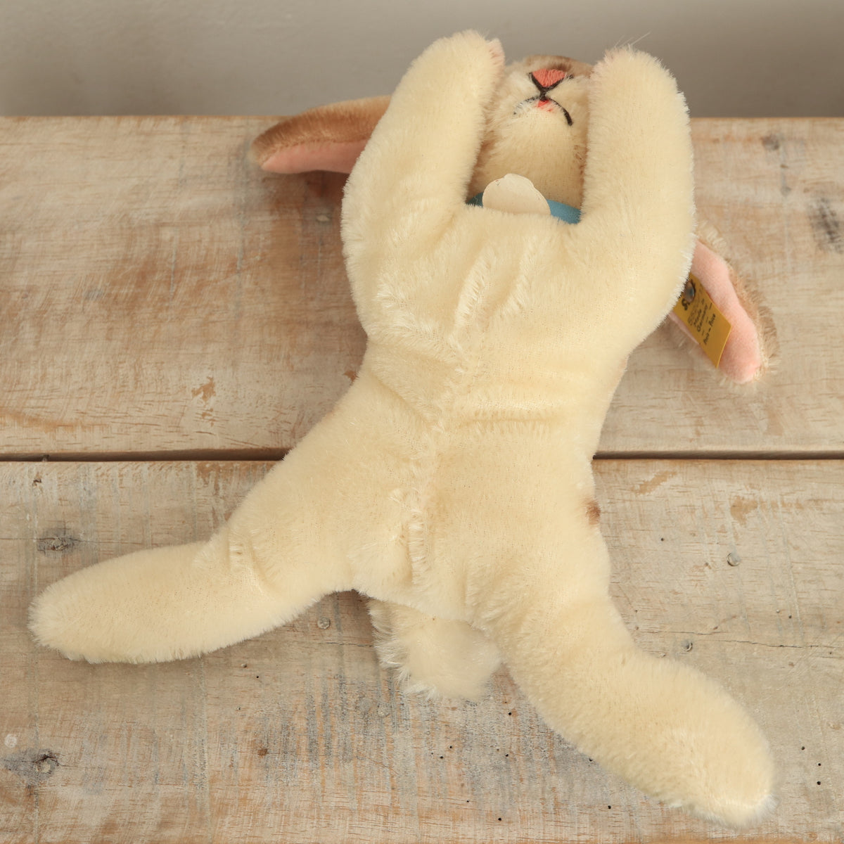 アンティーク シュタイフ お眠りウサギ Steiff Floppy Hansi 17cm