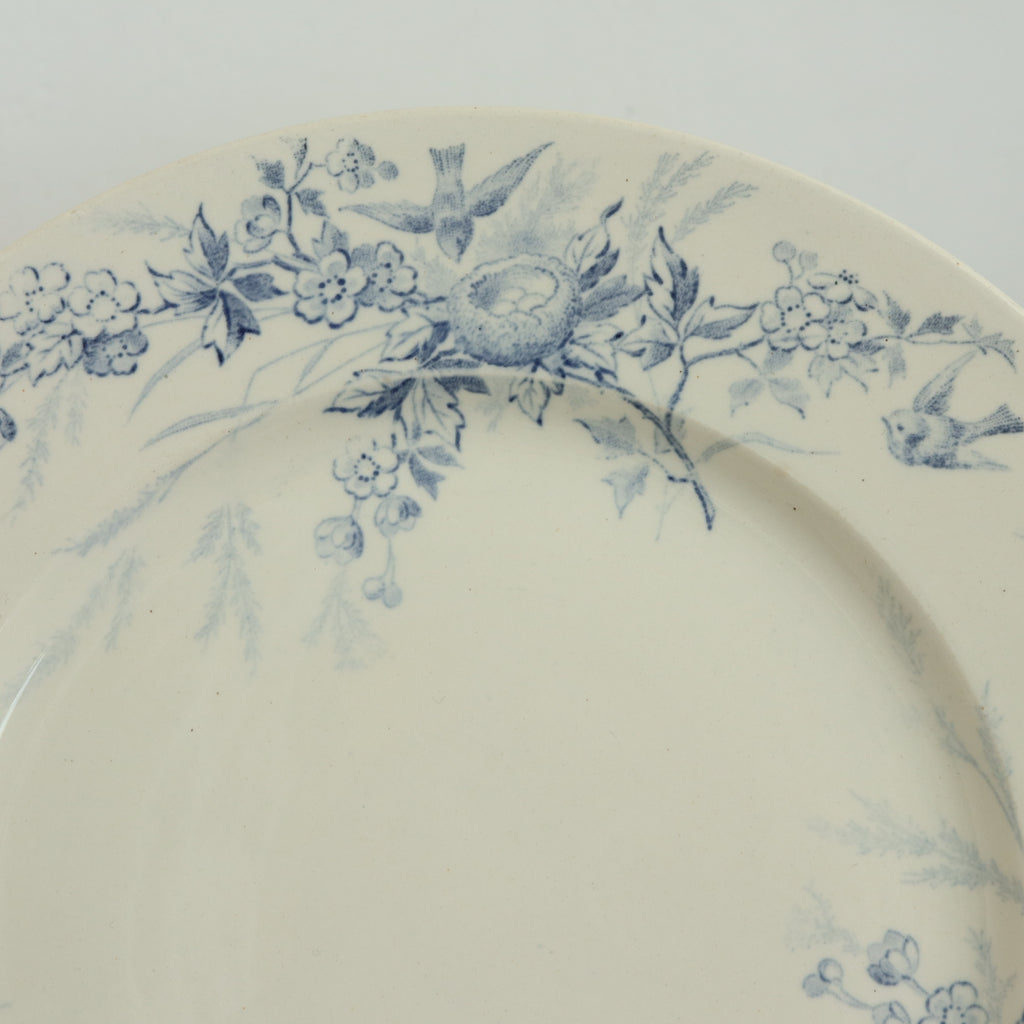 アンティークプレート 小鳥 デザート皿 クレイユモントロー フランス LINOTTE Creil Montereau FRANCE