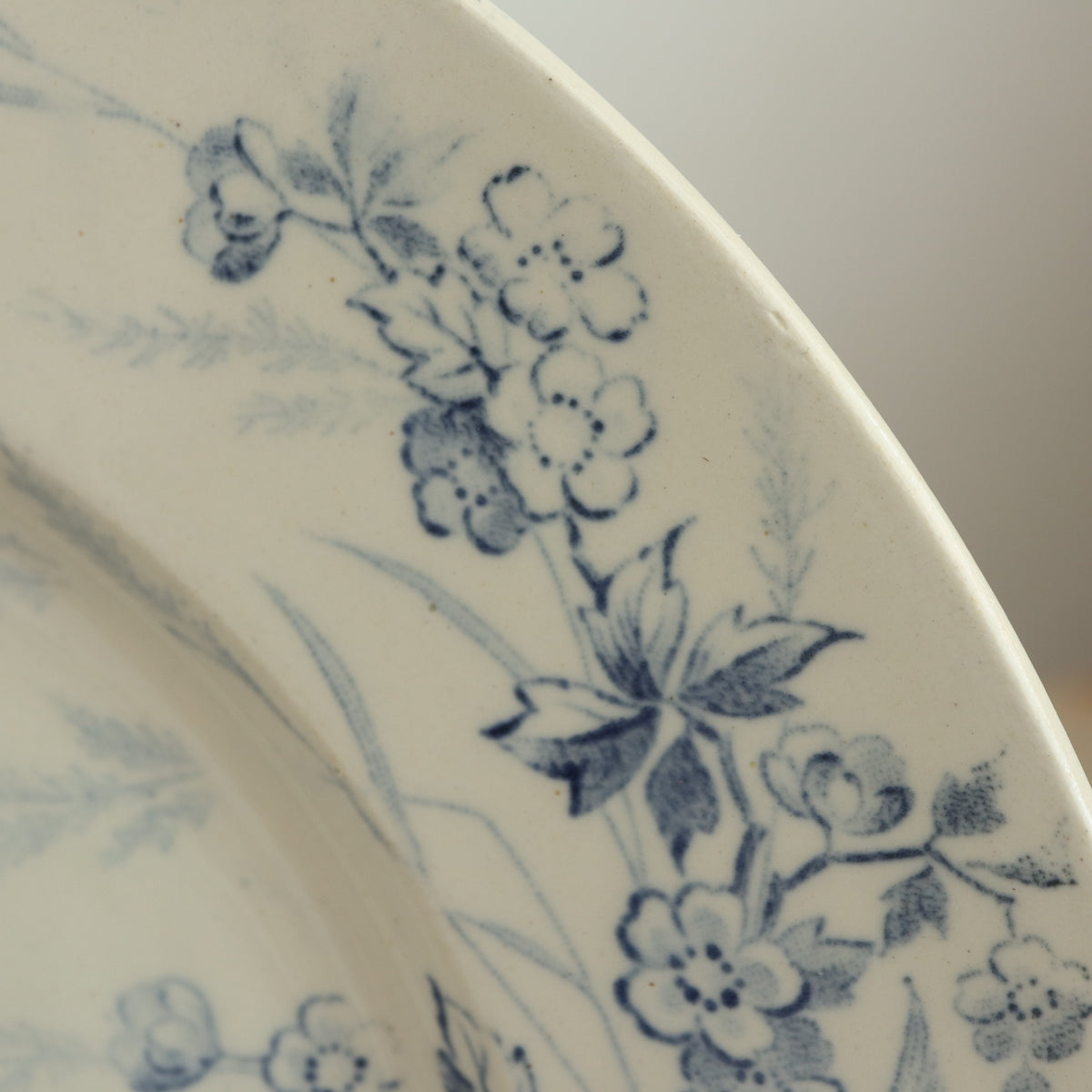 アンティークプレート 小鳥 デザート皿 クレイユモントロー フランス LINOTTE Creil Montereau FRANCE