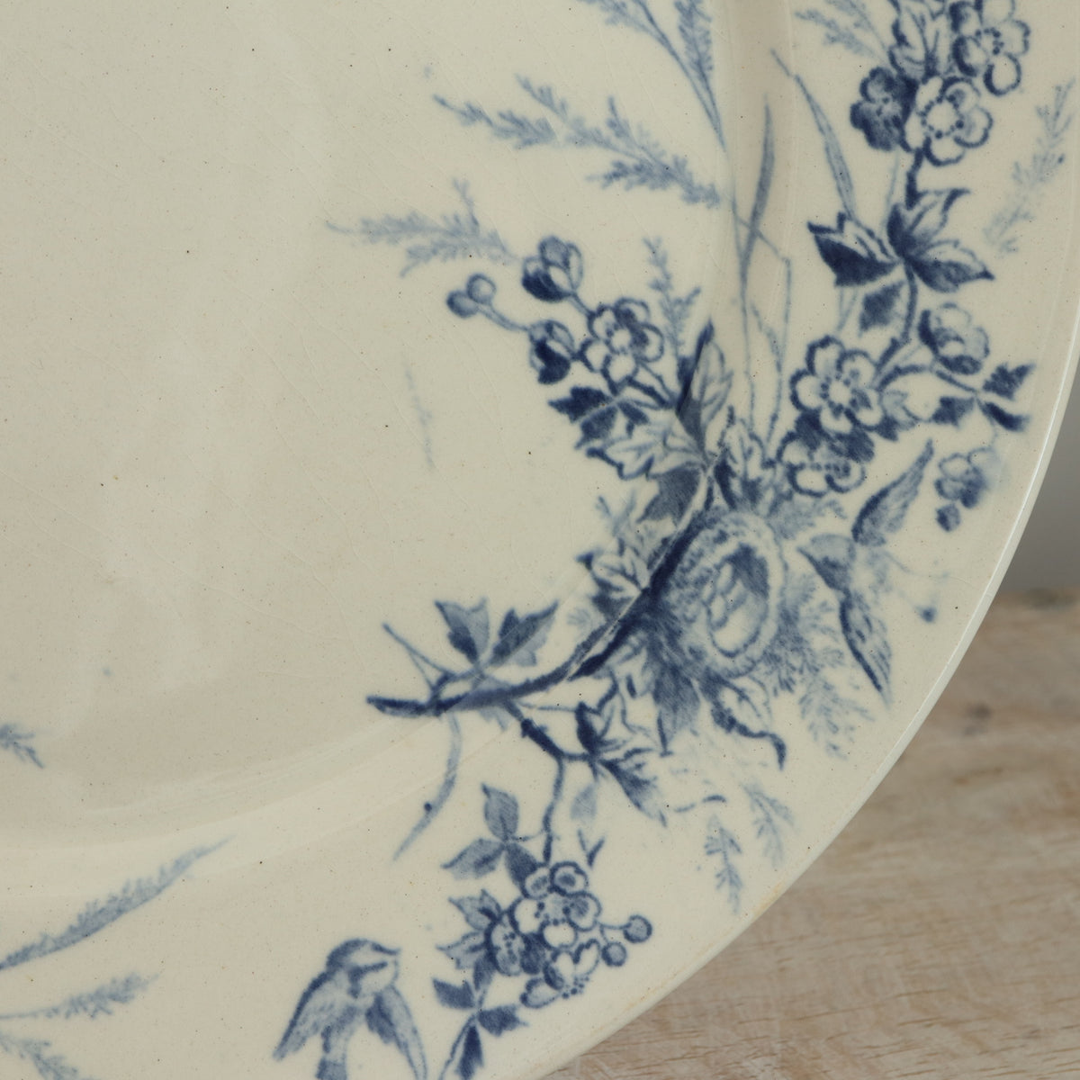アンティーク プレート 小鳥 皿 LINOTTE フランス クレイユモントロー製 Creil Montereau
