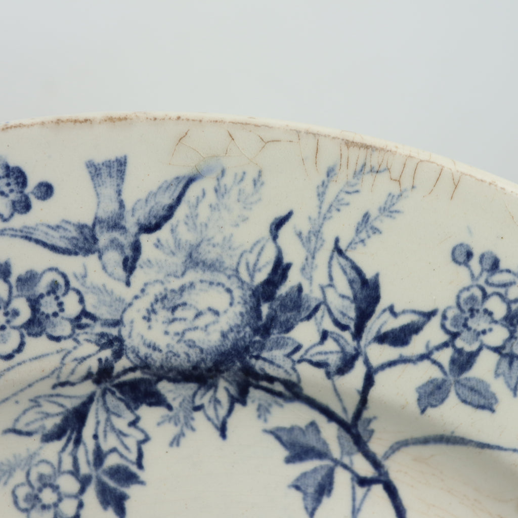 アンティーク プレート 小鳥 皿 LINOTTE フランス クレイユモントロー製 Creil Montereau
