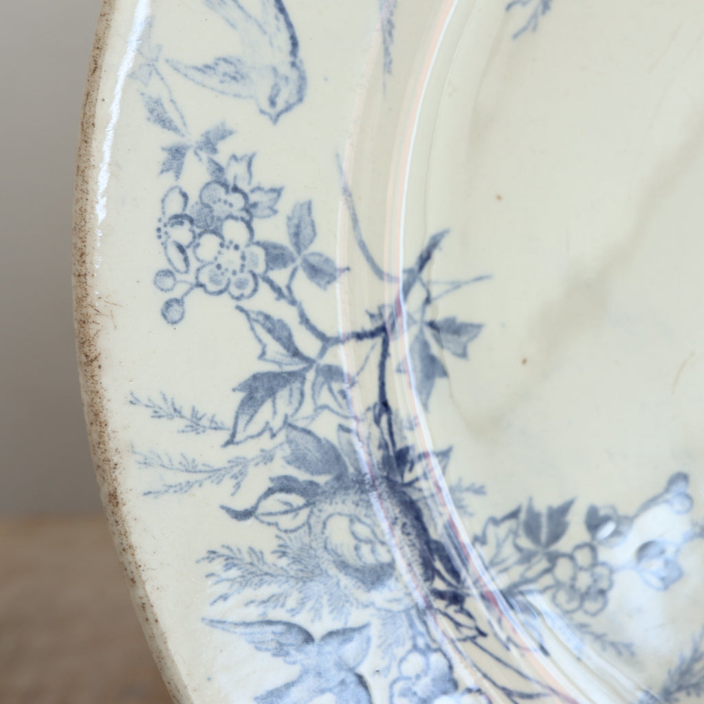 アンティーク プレート 小鳥 皿 LINOTTE フランス クレイユモントロー製 Creil Montereau