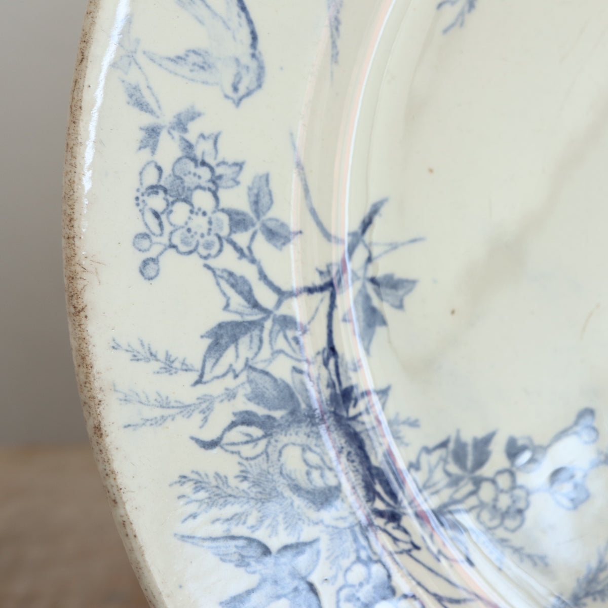 アンティーク プレート 小鳥 皿 LINOTTE フランス クレイユモントロー製 Creil Montereau