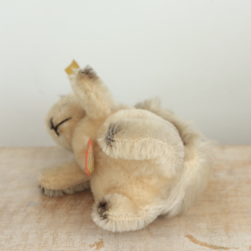 アンティーク シュタイフ リス グレー Steiff Possy 10cm