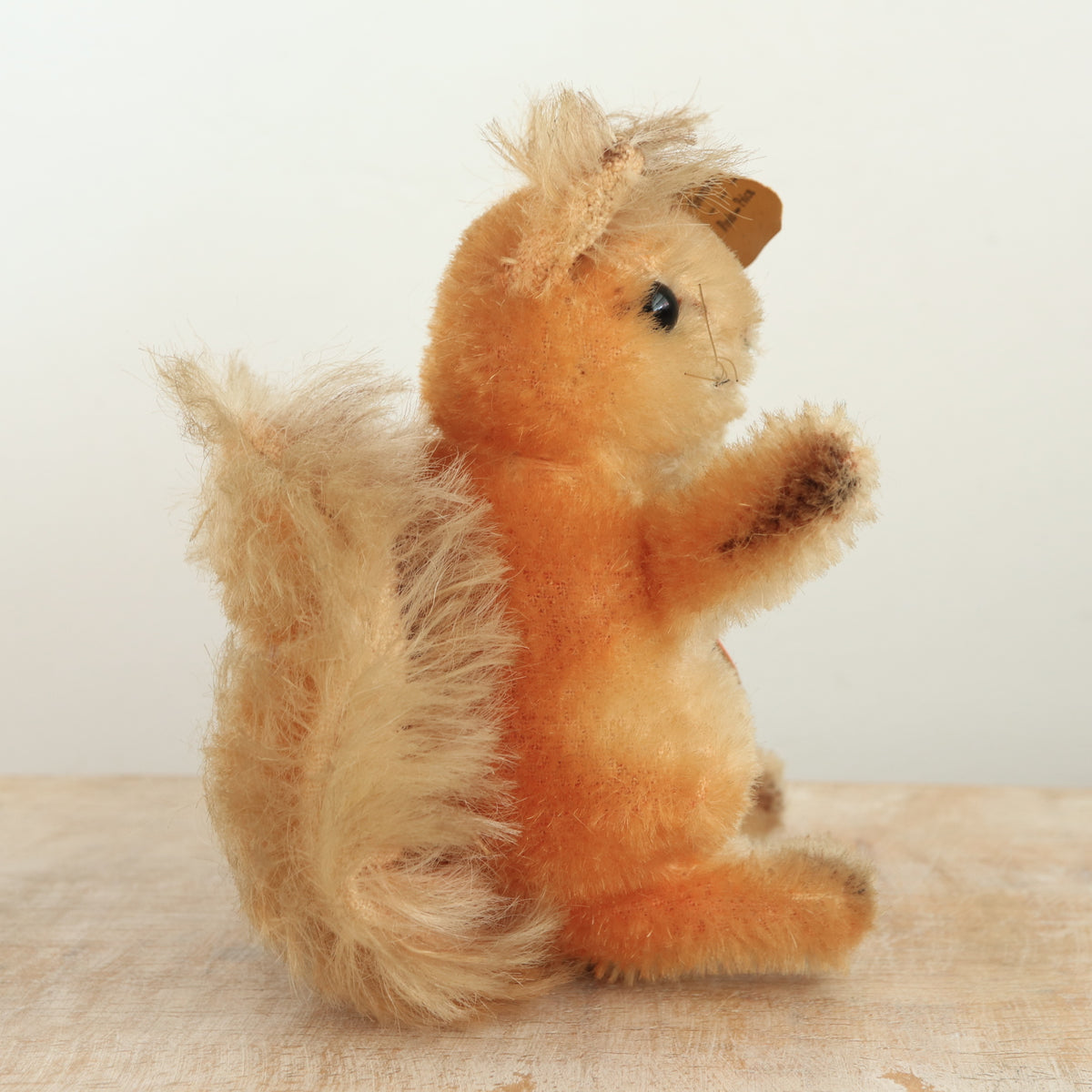 アンティーク シュタイフ リス Steiff Possy 10cm