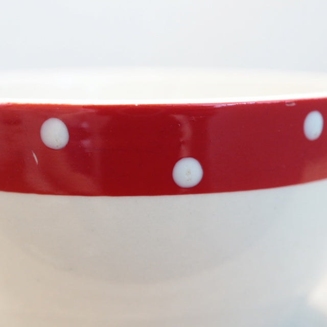 ミッドウィンター レッドドミノ ティートリオ MIDWINTER RED DOMINO