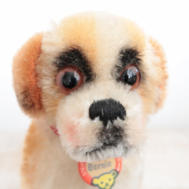 アンティーク シュタイフ セントバーナード Steiff Bernie 12cm