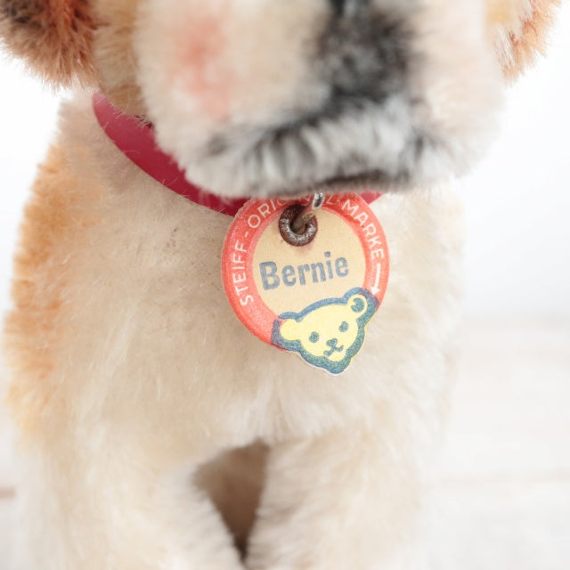 アンティーク シュタイフ セントバーナード Steiff Bernie 12cm