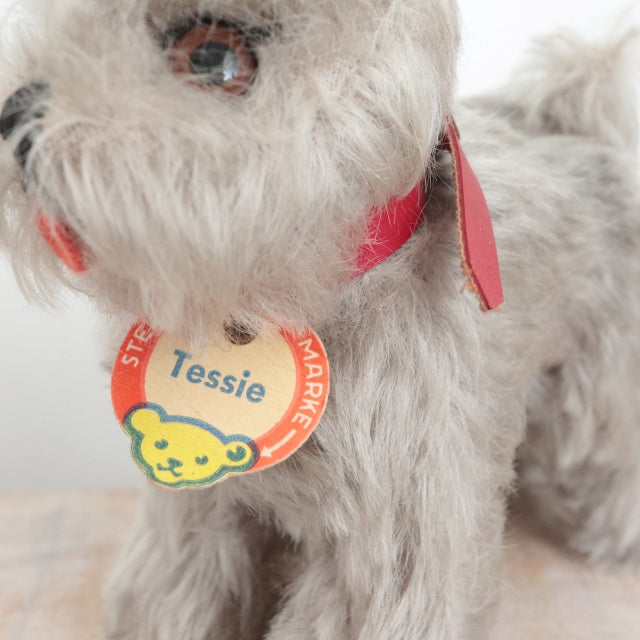 アンティーク シュタイフ シュナウザー Steiff Tessie 14cm