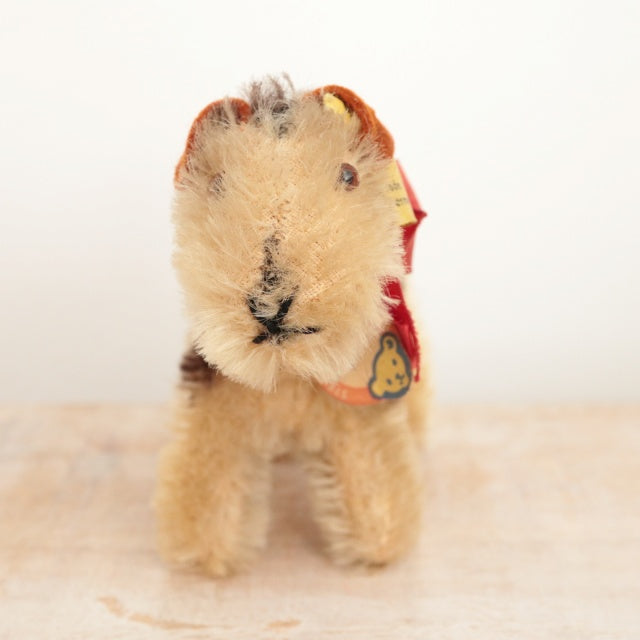 アンティーク シュタイフ エアデールテリア Steiff Terry 8cm