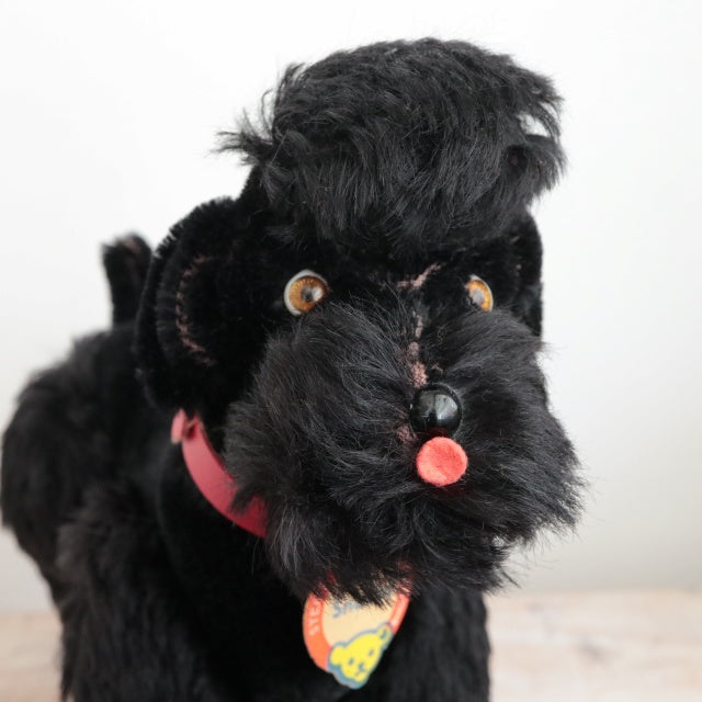 アンティーク シュタイフ プードル ブラック Steiff Snobby 22cm