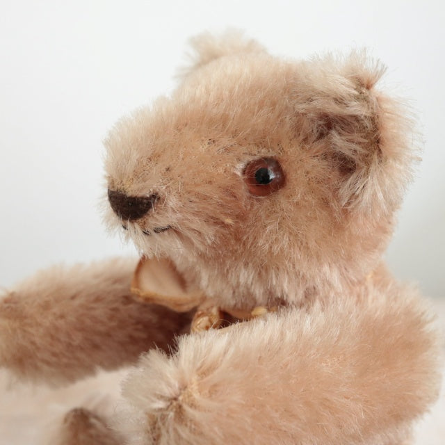 アンティーク シュタイフ オリジナル テディベア Steiff Original Teddy