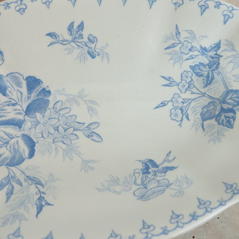 アンティーク ラヴィエ オーバル皿 FLORE フランス サルグミンヌ製 U&C SARREGUEMINES