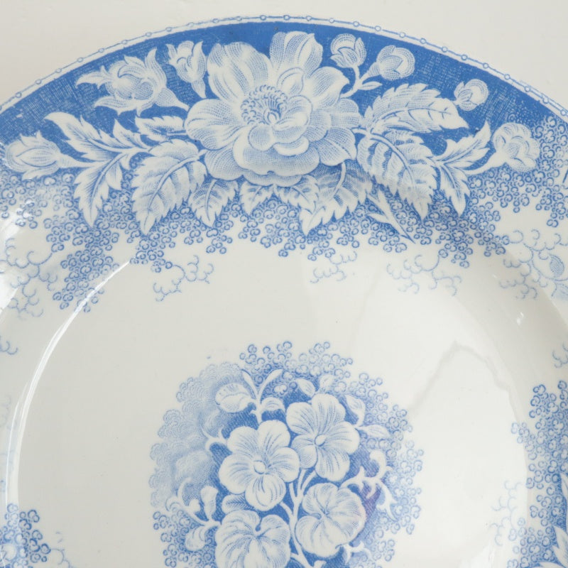 アンティーク プレート JARDINIERE 皿 フランス サルグミンヌ製 U&C SARREGUEMINES
