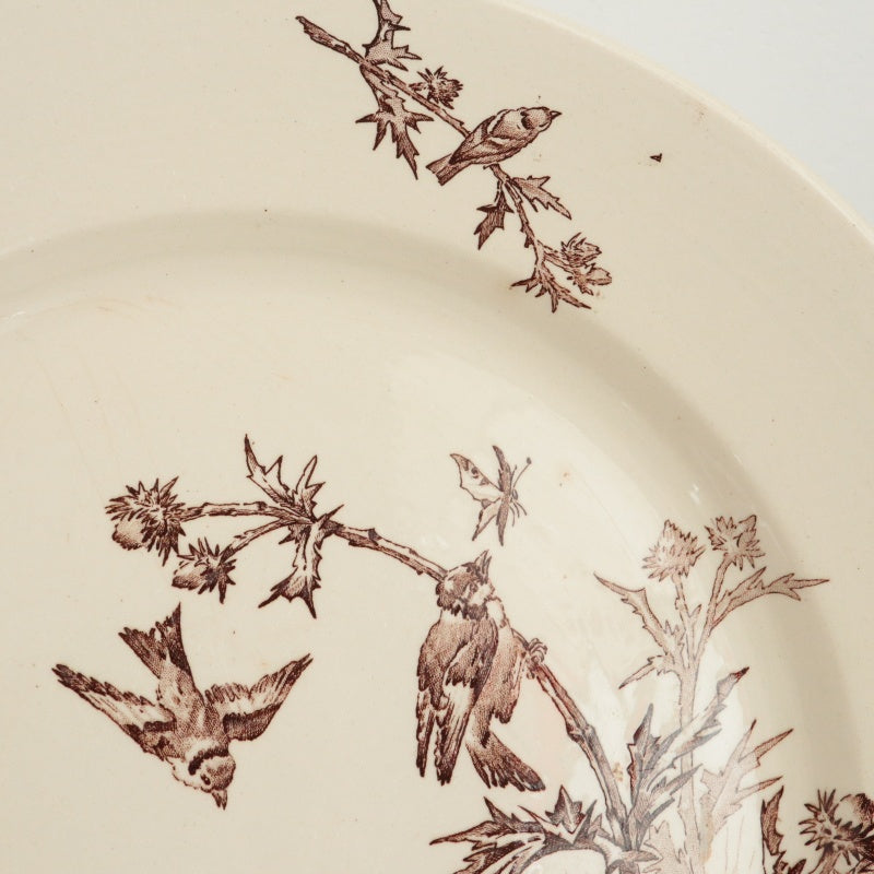 アンティーク プレート 大皿 CHARDONNERET フランス クレイユモントロー製 Creil Montereau