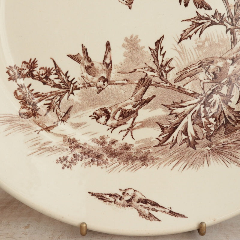 アンティーク プレート 大皿 CHARDONNERET フランス クレイユモントロー製 Creil Montereau