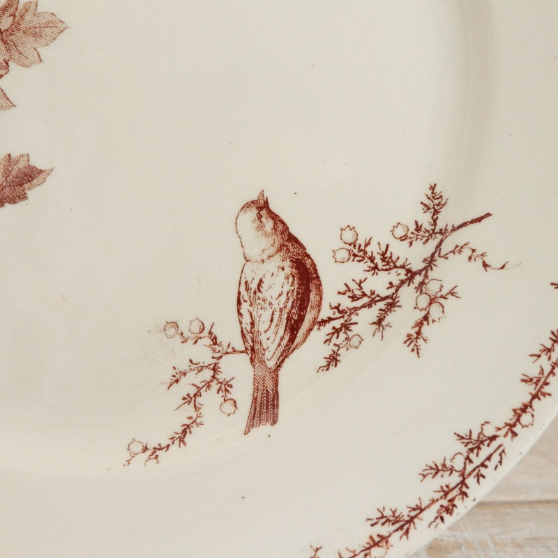 アンティーク プレート 小鳥 デザート皿 SYLVA フランス クレイユモントロー製 Creil Montereau