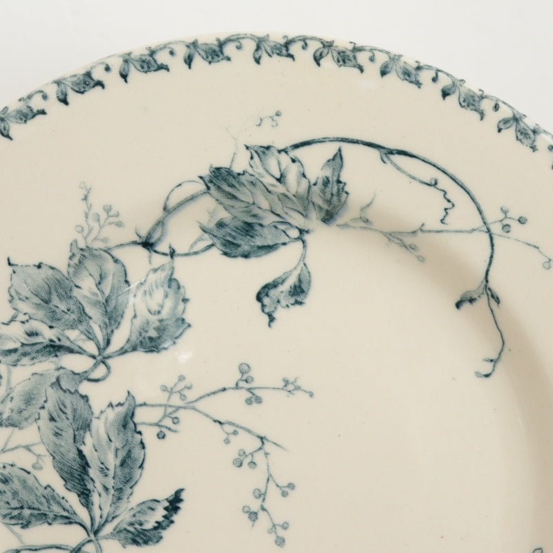 アンティーク コンポティエ VIGNE VIERGE 皿  フランス ジアン製 GIEN