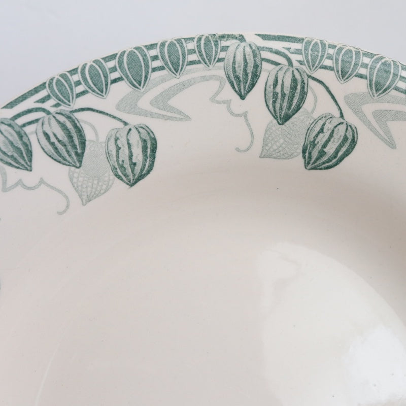 アンティークプレート ホオズキ 深皿 PHYSALIS フランス クレイユモントロー製 Creil Montereau