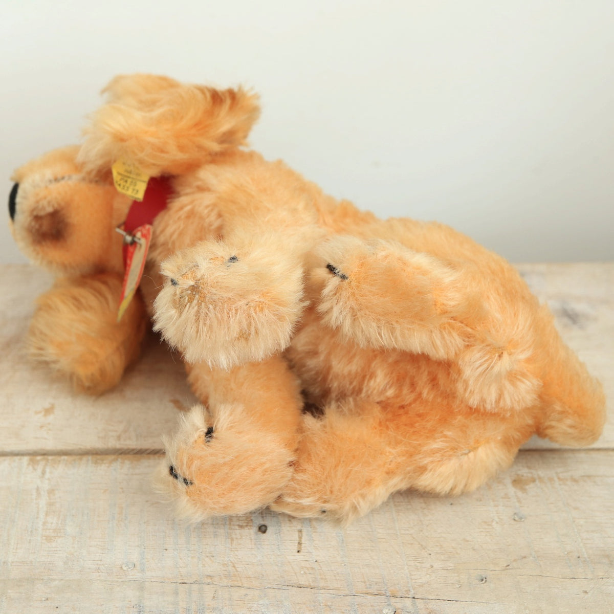 アンティーク シュタイフ コッカースパニエル Steiff Susi 17cm