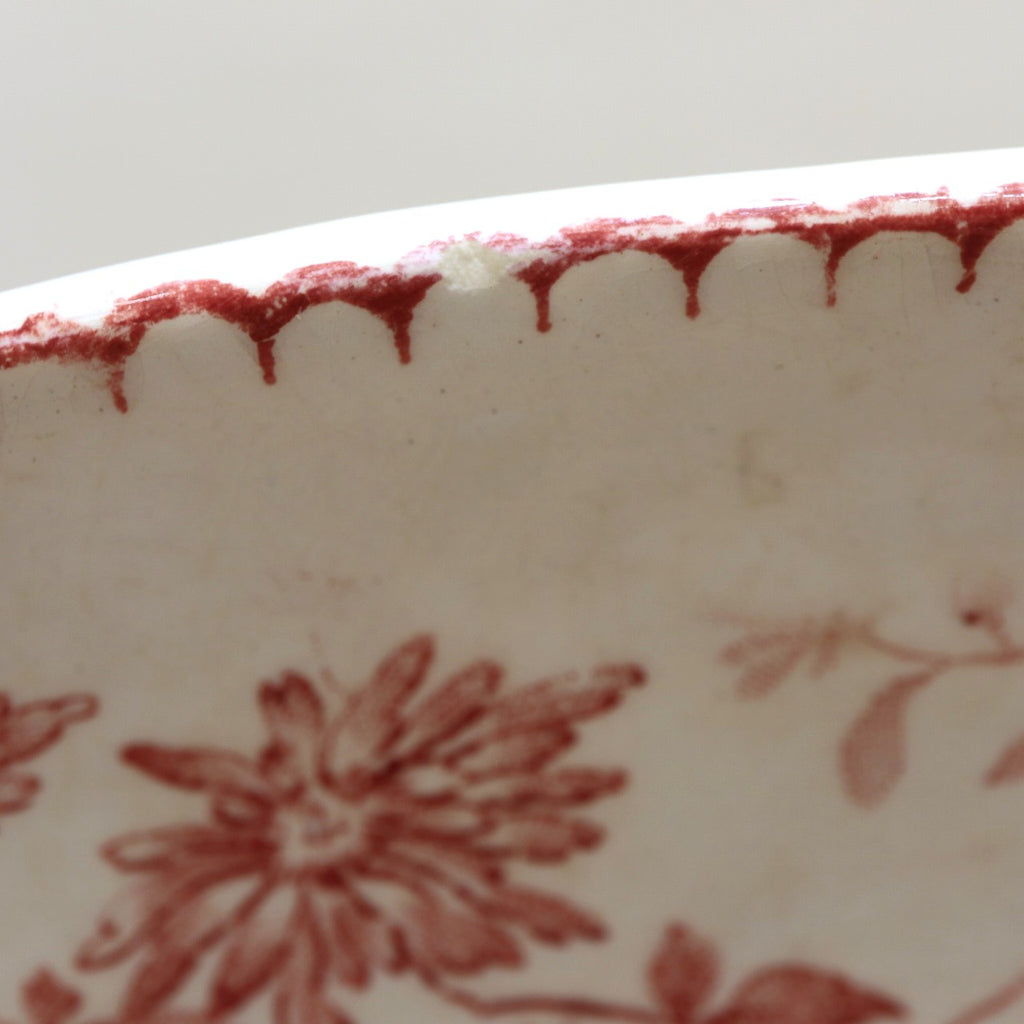 アンティーク ラヴィエ オーバル皿 MIGNARDISE フランス クレイユモントロー製 Creil Montereau