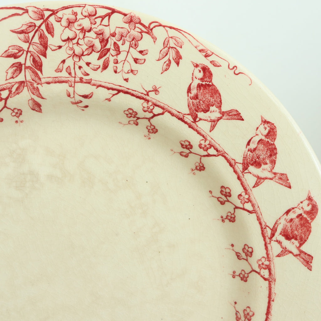 アンティーク コンポティエ 小鳥の花冠 GUIRLANDE D'OISEAUX フランス ジアン製 GIEN