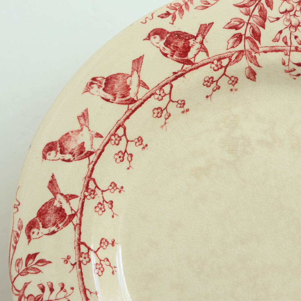 アンティーク コンポティエ 小鳥の花冠 GUIRLANDE D'OISEAUX フランス ジアン製 GIEN