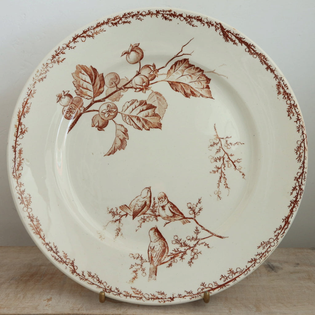 アンティーク プレート 小鳥 皿 SYLVA フランス クレイユモントロー製 Creil Montereau
