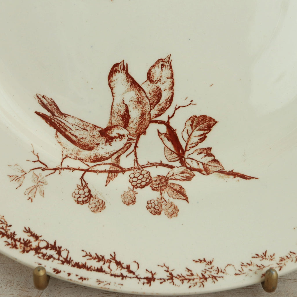 アンティーク プレート 小鳥 皿 SYLVA フランス クレイユモントロー製 Creil Montereau