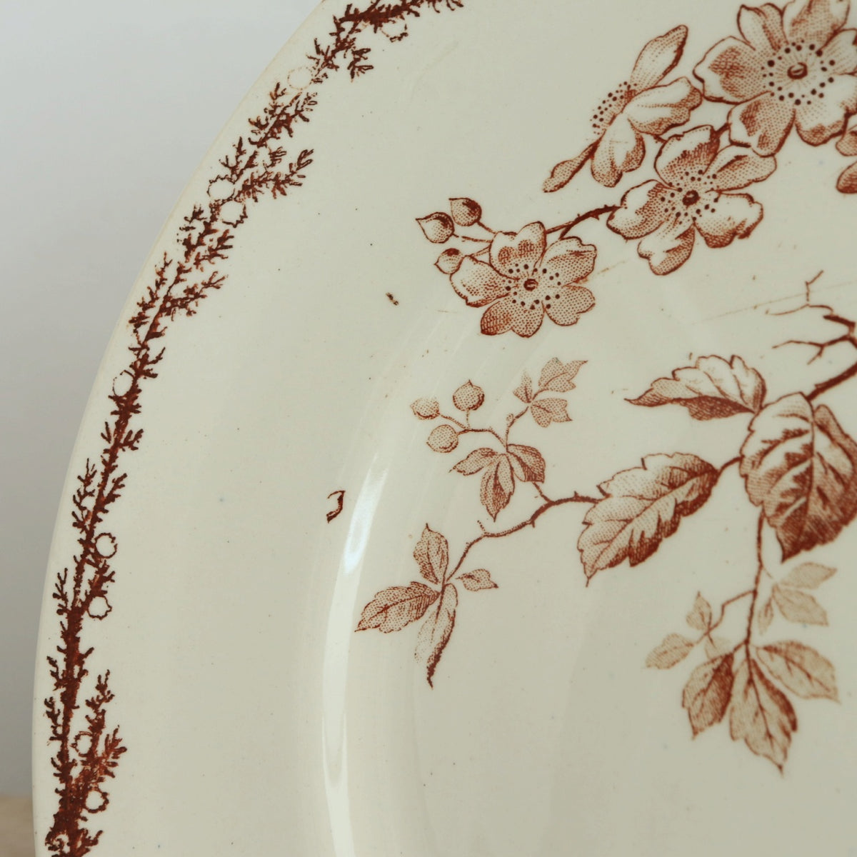 アンティーク プレート 小鳥 皿 SYLVA フランス クレイユモントロー製 Creil Montereau