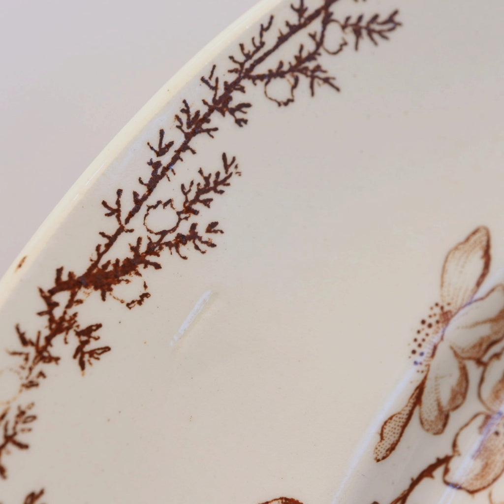 アンティーク プレート 小鳥 皿 SYLVA フランス クレイユモントロー製 Creil Montereau