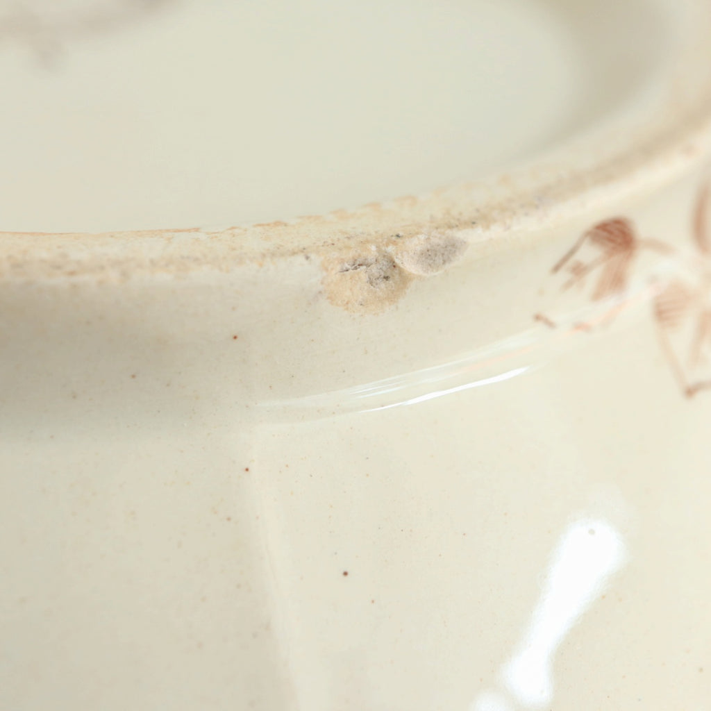 アンティーク ピシェ アイビー FLORA クレイユモントロー製 B&C Creil Montereau