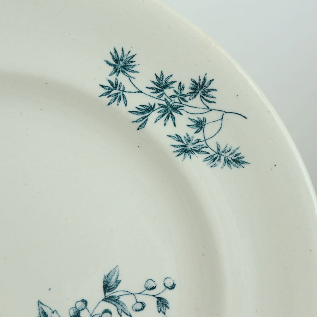アンティーク プレート 小鳥 皿 MIGNON フランス ロンウィー製 LONGWY